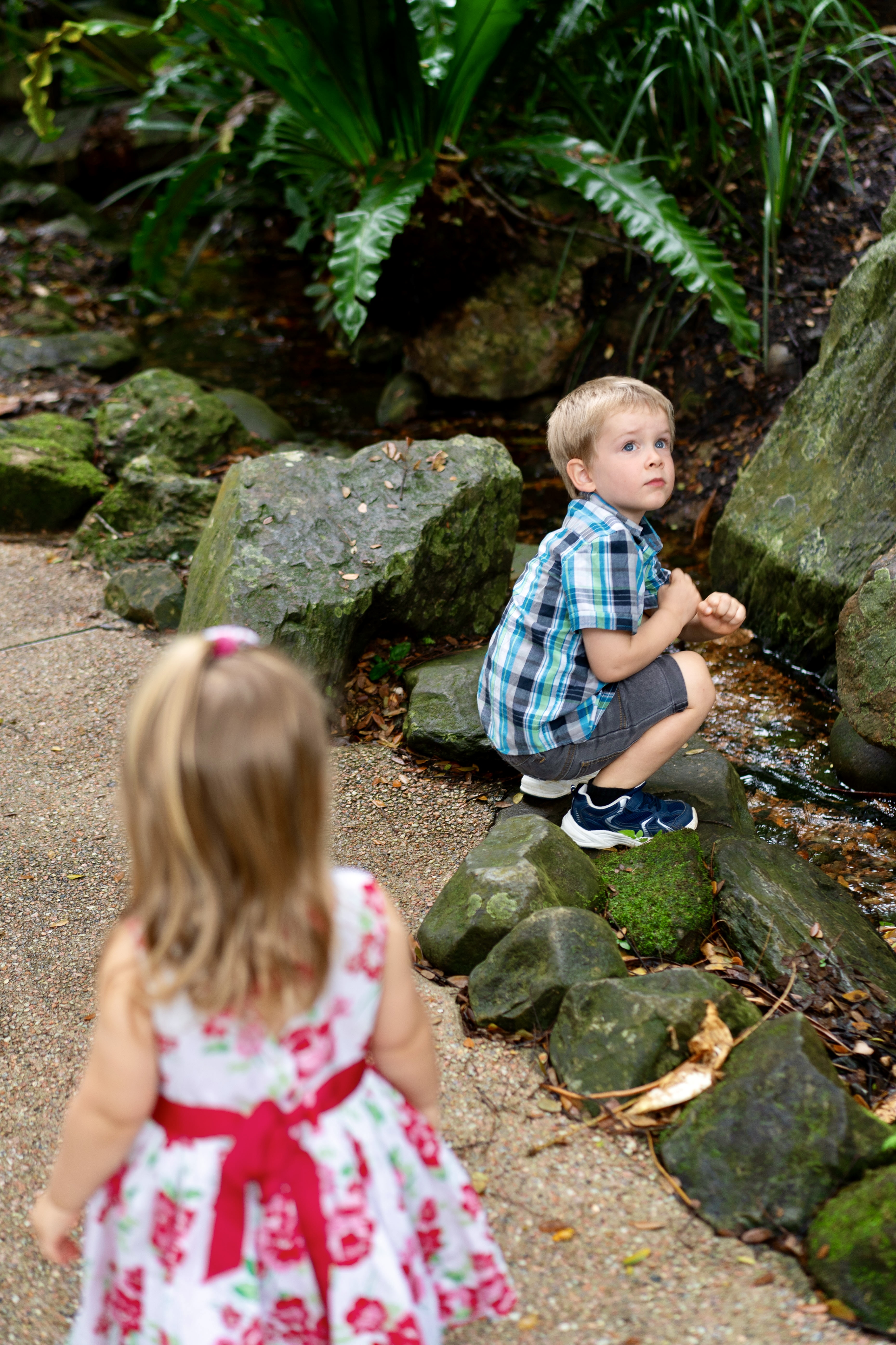 Family Photography at Cairns Botanic Gardens After Rain